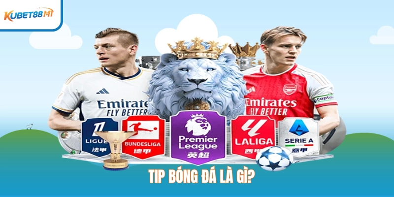 Tip bóng đá là gì